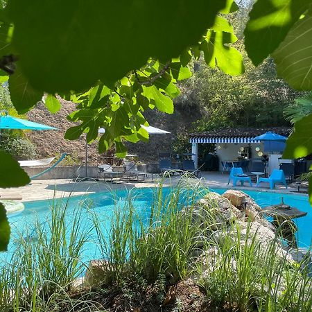 Domaine Double D Villa Cagnes-sur-Mer Bagian luar foto
