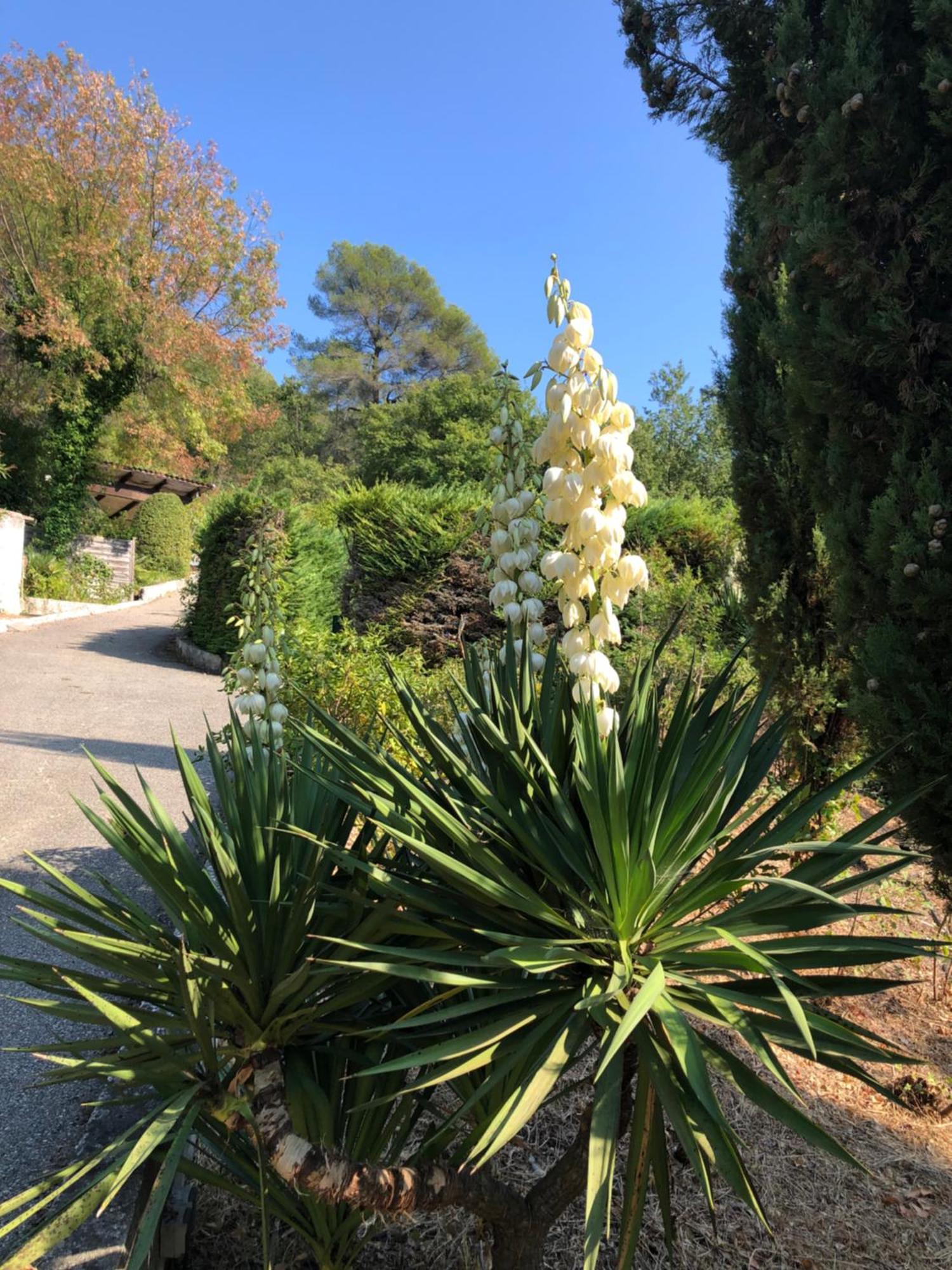 Domaine Double D Villa Cagnes-sur-Mer Bagian luar foto